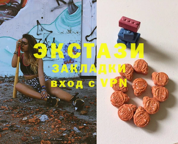 индика Снежногорск