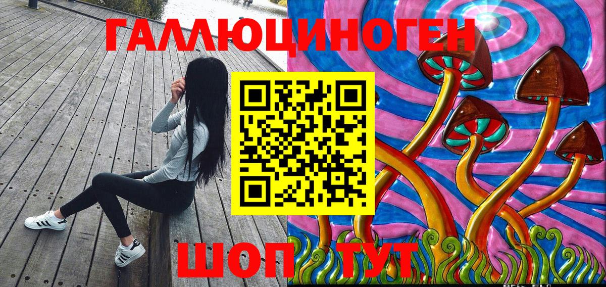 Галлюциногенные грибы Psilocybe Комсомольск-на-Амуре